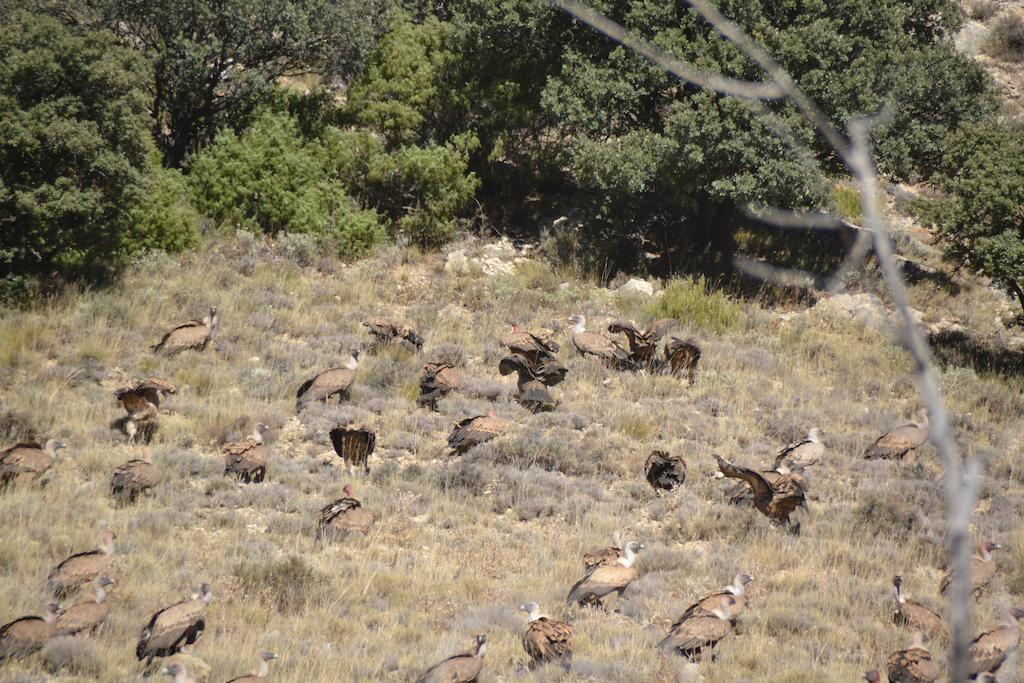 Hotel Rural El Horno De Aliaga Εξωτερικό φωτογραφία