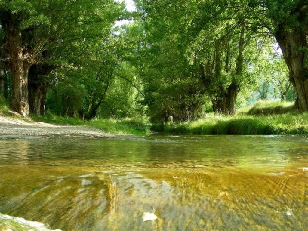 Hotel Rural El Horno De Aliaga Εξωτερικό φωτογραφία